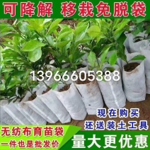 无纺布育苗袋11Ⅹ1210万个