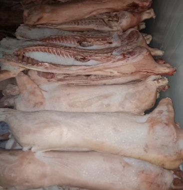 猪白条冻白条5070手续齐全新开检疫