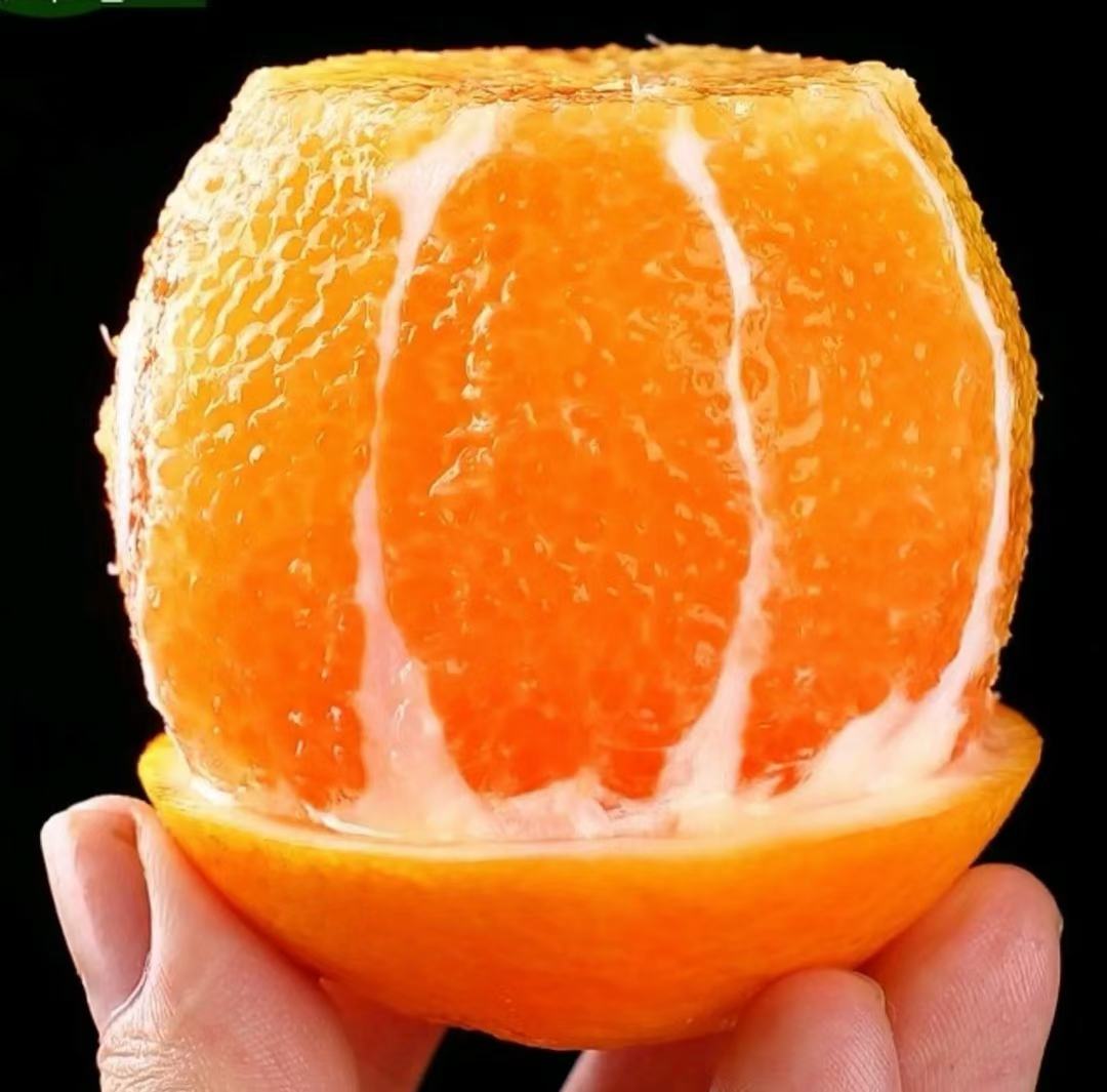 一颗成熟的伦晚脐橙,呈椭圆形,果皮光滑鲜亮,颜色为深橙红色,顶部有明显脐状突起,果实表面无明显瑕疵,背景为自然果园环境,阳光柔和 伦晚橙果实特写