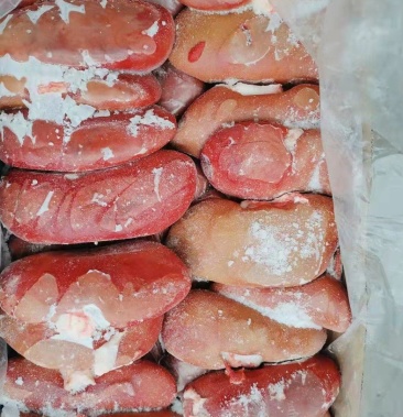 猪腰子肥猪腰子母猪腰子大腰子烧烤腰子