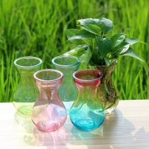 玻璃花瓶大号花盆风信子玻璃水培瓶绿萝风信子专用玻璃瓶