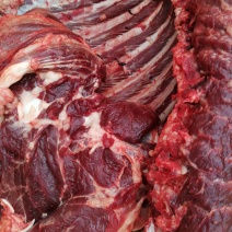 毛驴和生驴肉