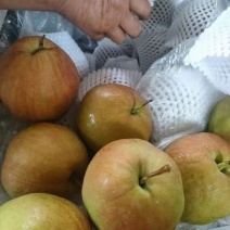 梨，河北农家自种玉露香梨，入口即化，口感香甜，一捏就碎