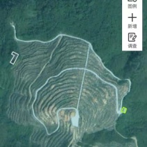 出租山地，可种油茶苗，实面积约300亩。