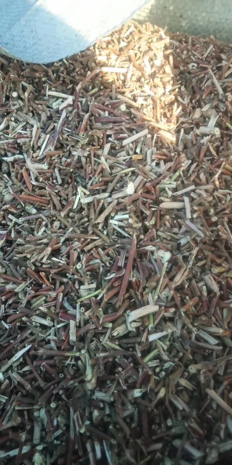 金银花藤忍冬藤中药材二花藤免费磨粉大量有货