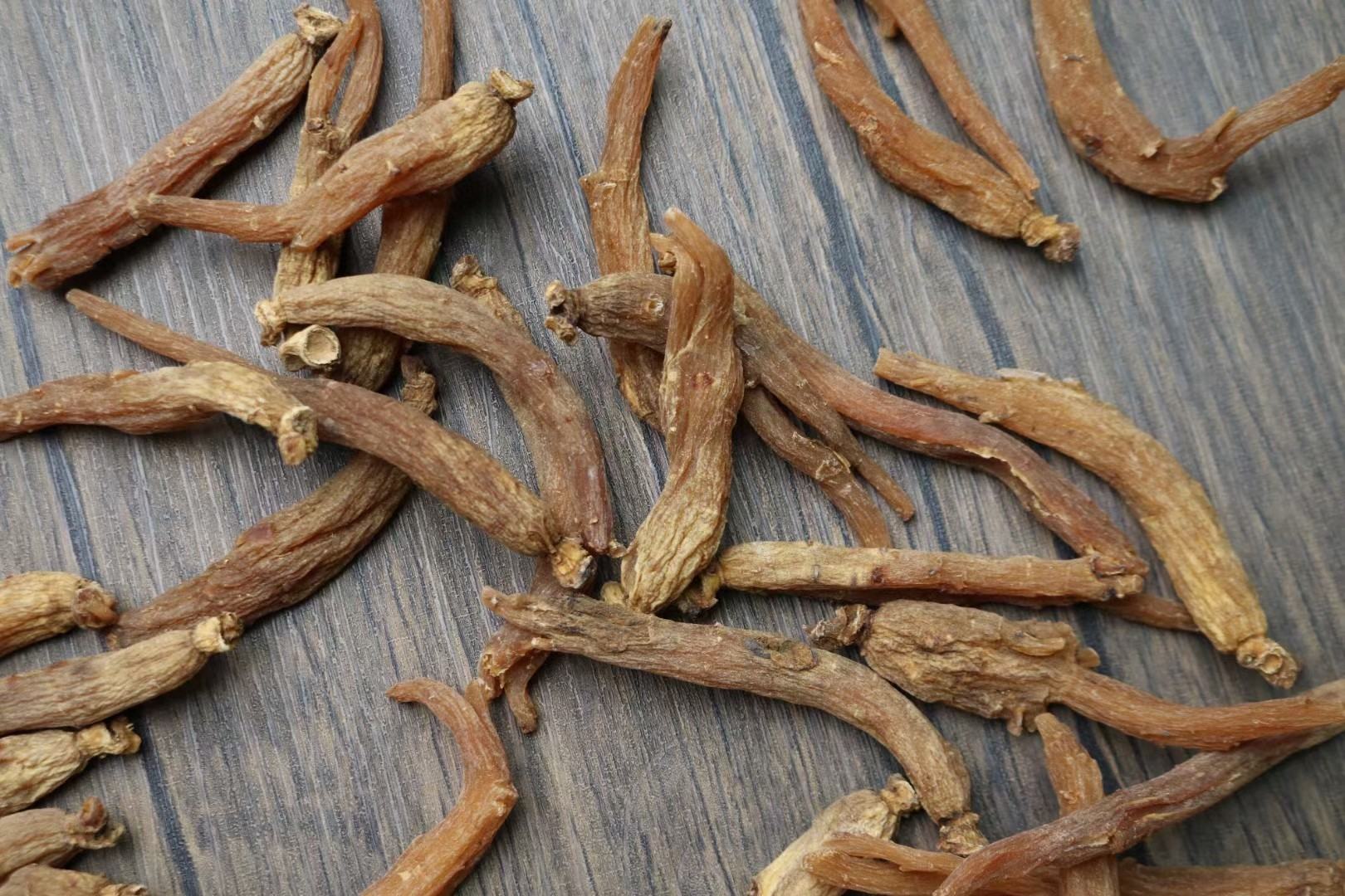 图片说明:左侧为未经处理的鲜人参,表皮呈淡黄色,质地湿润;右侧为成品红参,颜色深红褐色,表面有光泽,质地坚硬,呈现典型的蒸制后特征。背景为传统中药铺木质柜子,突出传统药材氛围 红参原材与成品对比图
