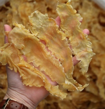 d厂110头挪威鳕鱼胶老胶特级货颜色漂亮肉质通透精致