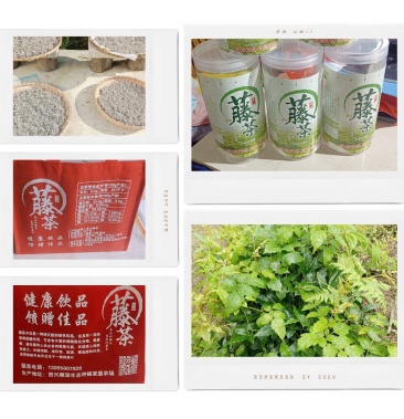 藤茶是一种保健产品长期喝能降血脂血糖血压