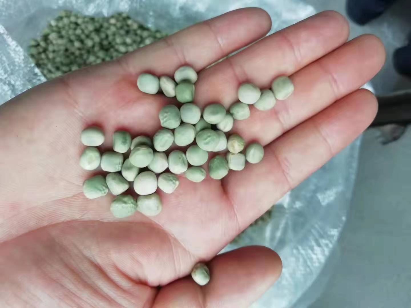 菠菜与豌豆烹饪成品图