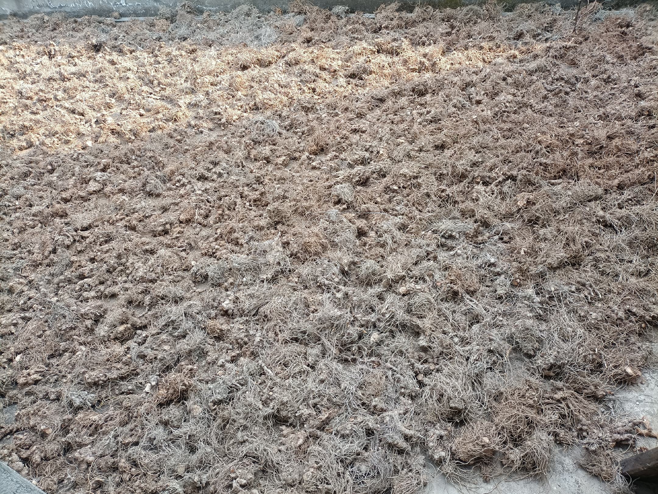 姜厚朴在中药煎煮中的使用场景