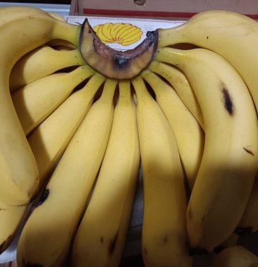 㽶Ӳð֤