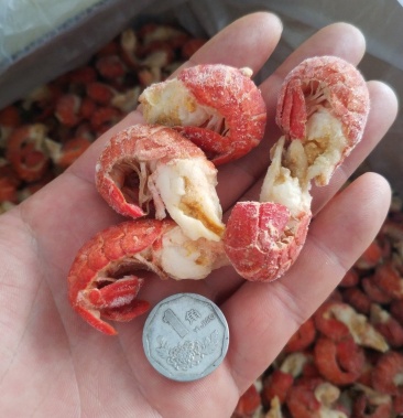 [虾尾批发]纯干冰特大龙虾尾 每件净20斤,90粒/斤价格36.