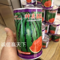 神奥666西瓜种子抗病性强口感好1000粒手工选种商