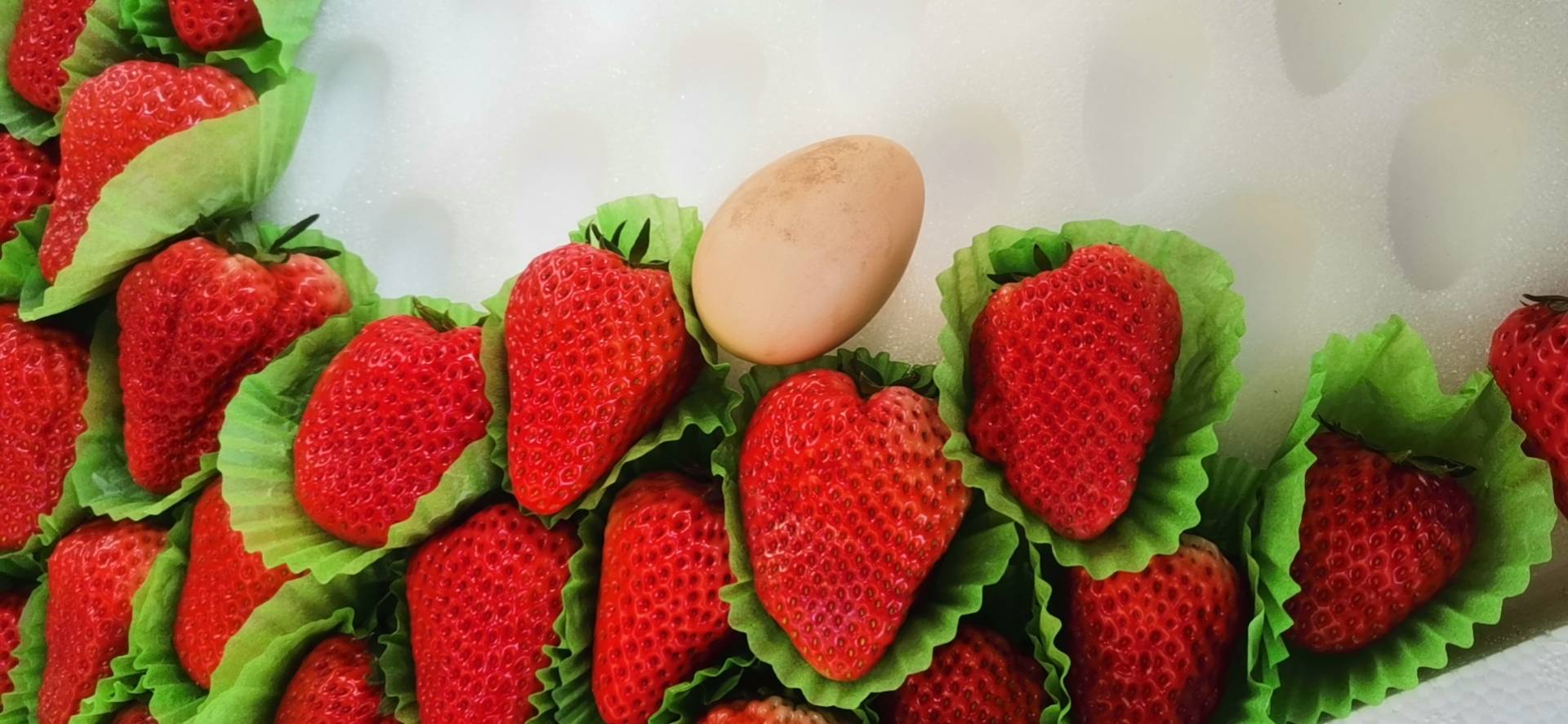 展示草莓奶油蛋糕与新鲜草莓、希腊酸奶、坚果等健康食材的搭配建议图,强调营养均衡与热量控制 草莓奶油蛋糕健康搭配建议图