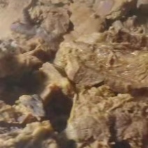 酱牛腱，源头厂家，量大从优，资质齐全，全可定制，质量稳定
