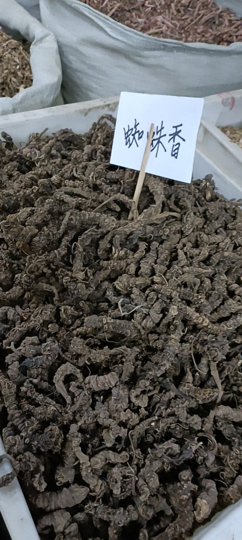 云南野生蜘蛛香