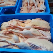 全品类白条鸭