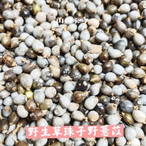 新摘天然草珠子薏苡果尿珠子