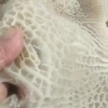 五香牛肚，无水发，量大从优，质量稳定，出货量大