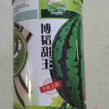 博韬甜王西瓜种子大果含糖量高大果型不空心不倒瓤所有品种