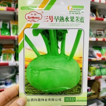 三号早熟水果苤蓝种子球扁圆卖相好脆甜鲜食苤兰种子
