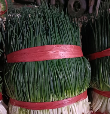 精品黑葱白葱产地直供可以实地考察