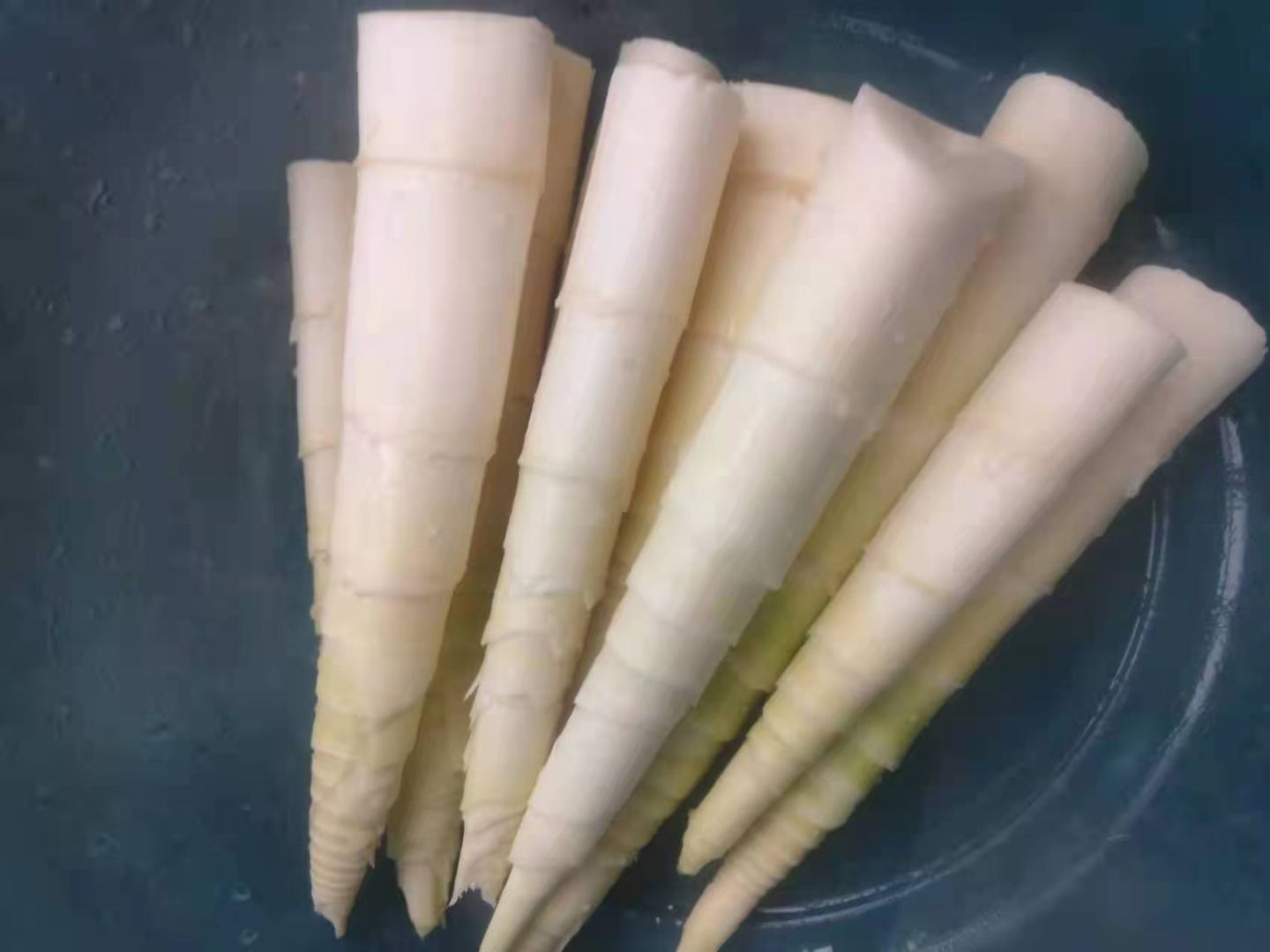 三道竹笋菜肴的摆盘对比:左为油焖毛笋,色泽红亮、块状粗大;中为清炒雷竹笋,笋片透明、配青椒红椒;右为腌笃鲜中的冬笋片,汤色乳白、与咸肉同炖。餐具为白色瓷盘,背景为江南风格厨房 竹笋烹饪成品对比图