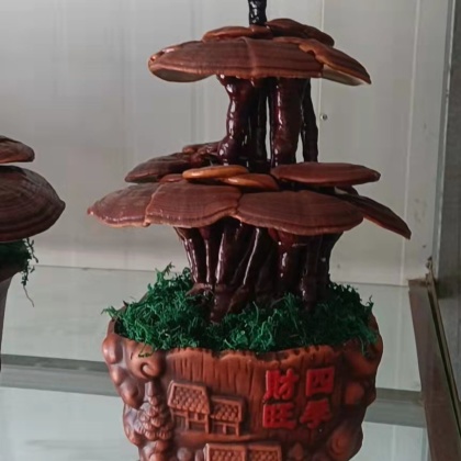 山东灵芝盆景价格行情走势 - 一亩田