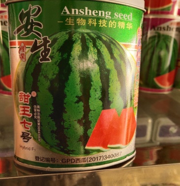 安生甜王七号西瓜种子全生育期85天左右