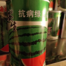 安生抗病绿王星西瓜种子，单瓜8公斤左右，