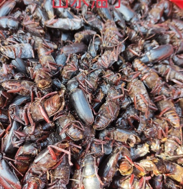 [山水牛批发]山水牛价格45.00元/斤 - 一亩田