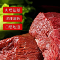 山东新鲜驴肉，肉质鲜美，价格优惠，欢迎采购