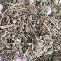 蒲公英蒲公英中药材干货量大从优欢迎选购！