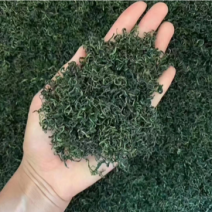 浦公英茶，泡水喝，一件30斤，成都库房现货一手货源