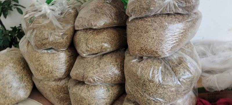 四季金银花树管理技术要点