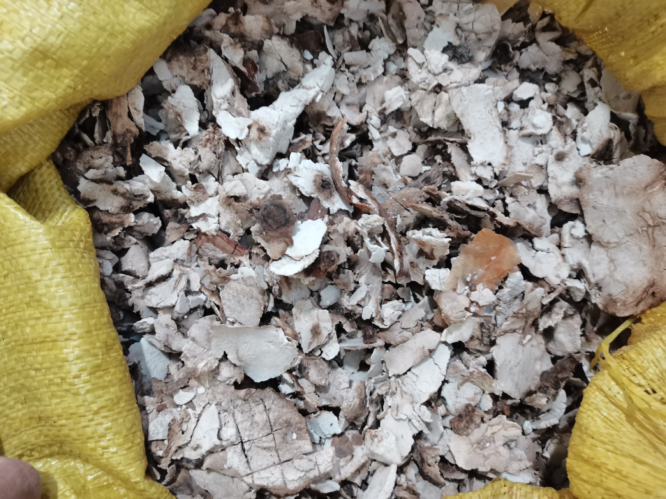 黄氏茯苓山楂原料展示图