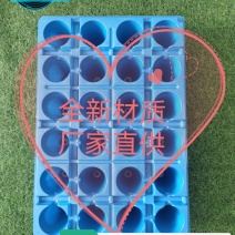 穴盘，草莓穴盘，林木扦插穴盘，适用于草莓育苗，草莓种植，