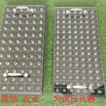 穴盘压孔器，压孔快方便省事生人工，播种前必备工具