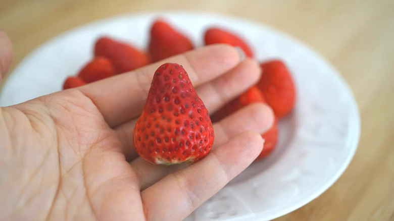 一颗成熟的红颜草莓放在白色瓷盘上,表面光滑鲜红,带有细小金黄色种子,绿叶仍附着果蒂,背景虚化,突出果实鲜艳色泽与饱满形态 红颜草莓特写近景