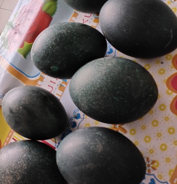 [鸵鸟蛋批发]澳洲鸵鸟蛋价格150.00元/个 - 一亩田