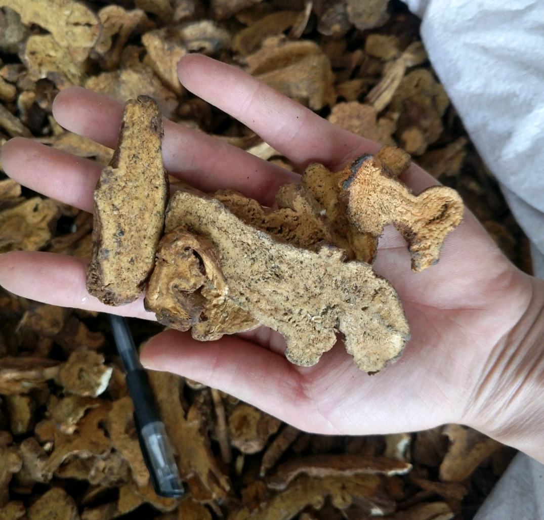 中药炮制过程示意图