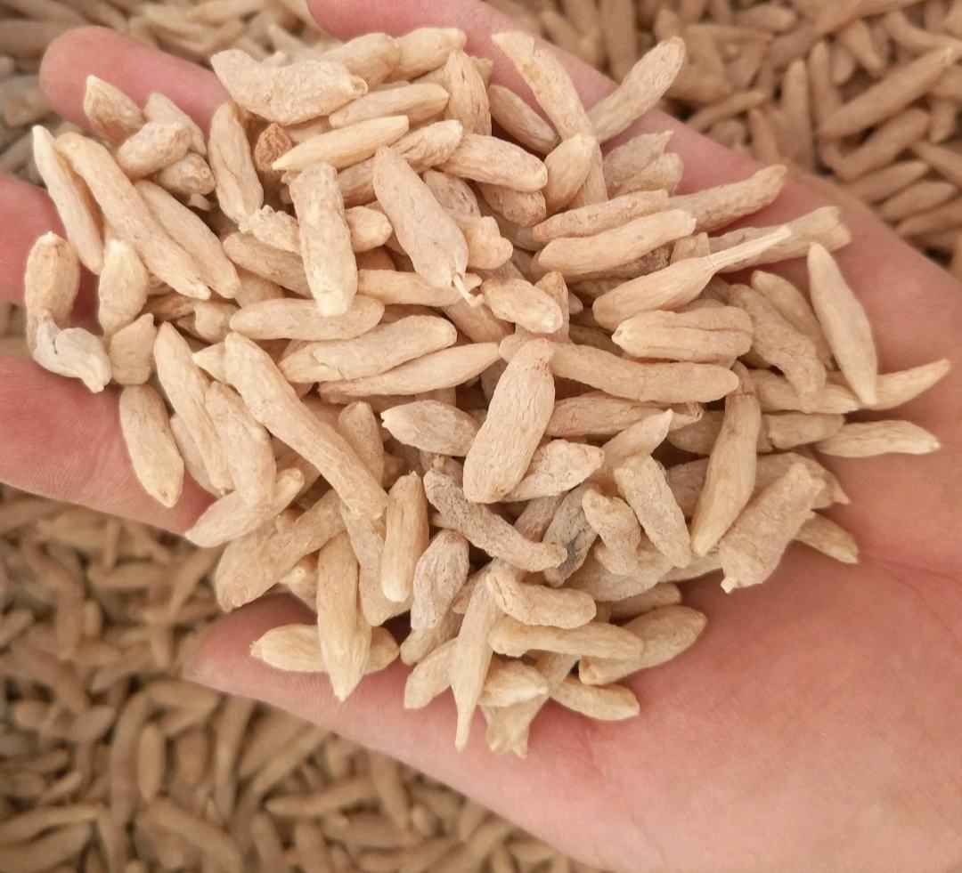 太子参麦冬沙参药材与汤品对比图