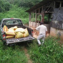 120亩山地出租，已建猪舍了，可以养殖牛羊鸡，鹅鸭等