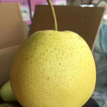 产地直发价格美丽梨
