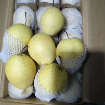 正品保障梨超高性价比