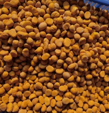 实力推荐山东板栗米优质栗米栗子米速冻栗米粽子米