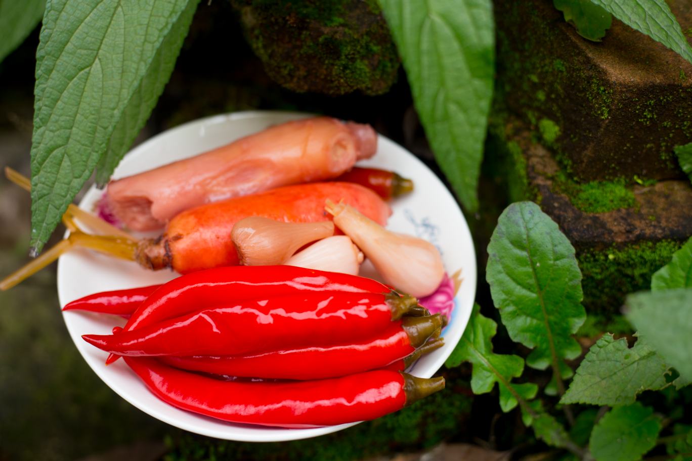 新鲜白萝卜、红萝卜、辣椒、大蒜等泡菜材料整齐摆放在案板上 泡萝卜食材摆盘图
