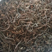 正宗东北蕨菜干细口感好特别好优质精品欢迎