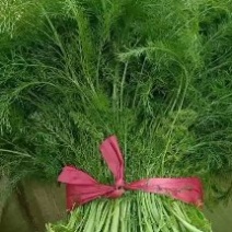 河北衡水宝华疏菜市场荤香正在大量上市中