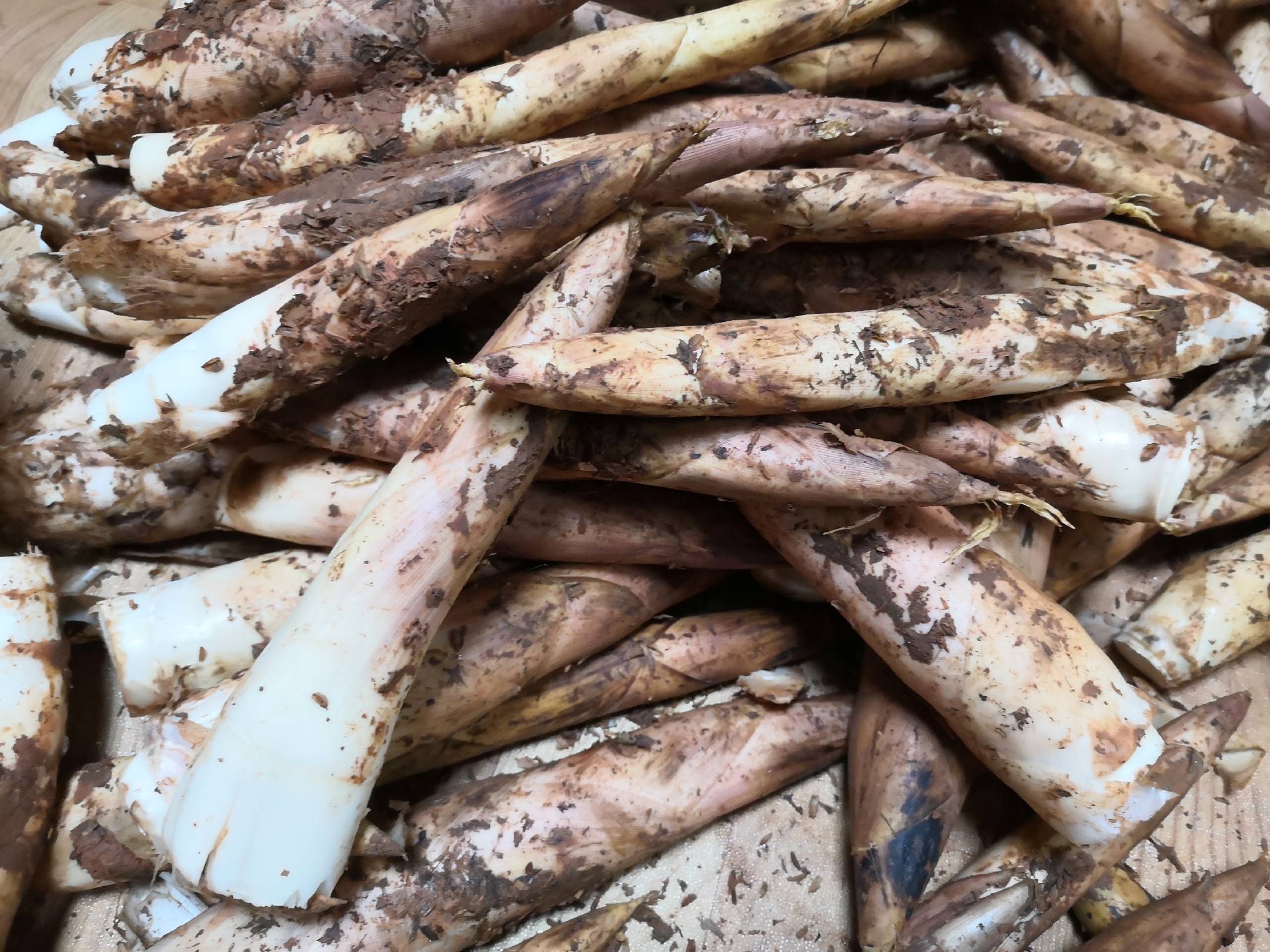 新鲜采摘的雷竹笋堆放在竹筐中，表面带有泥土，笋体饱满洁白，背景为清晨雾气缭绕的竹林